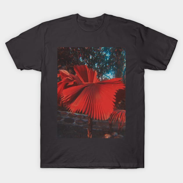 Red Palm Tree Leaves Temptation T-Shirt by SoCalDreamin